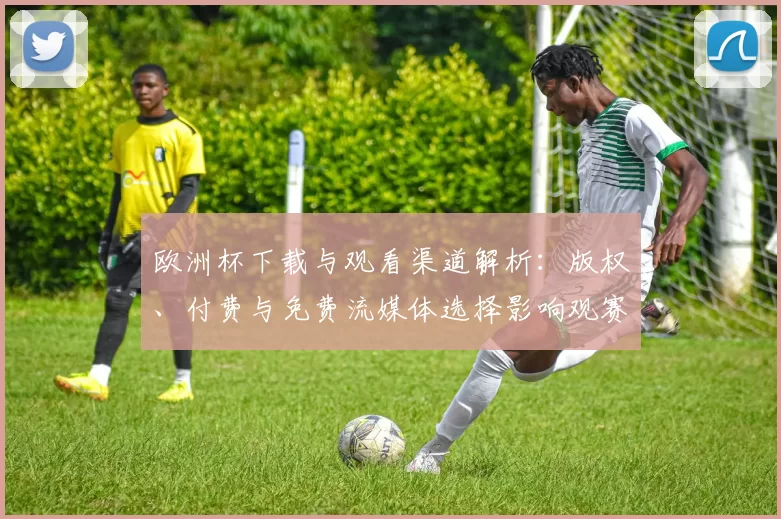 欧洲杯下载与观看渠道解析：版权、付费与免费流媒体选择影响观赛体验