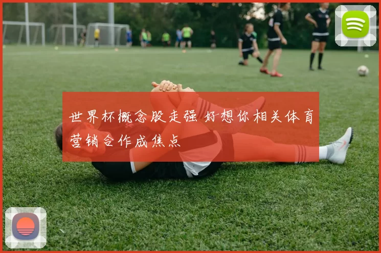 世界杯概念股走强 好想你相关体育营销合作成焦点